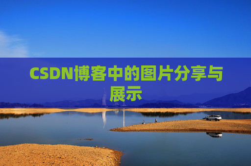 CSDN博客中的图片分享与展示